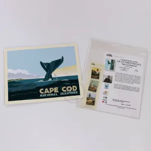 Cape Cod Whale Tail Art Print 8" x 10" Travel Poster By Alan Claude - Massachusetts